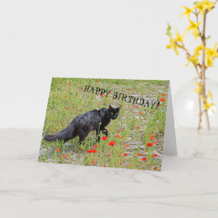 Mooie Zwarte Kat Birthday Card! Kaart