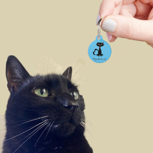 Mooie Zwarte Kat Kitty Naam Adres Blauwe Huisdier  Huisdierpenning