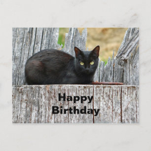 Mooie Zwarte Kat op Houtblok Foto Verjaardag Briefkaart