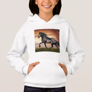 Mooie zwarte paard