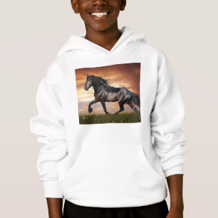 Mooie zwarte paard