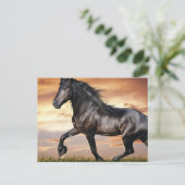 Mooie zwarte paard briefkaart (Staand voorkant)