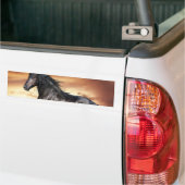 Mooie zwarte paard bumpersticker (Op Truck)