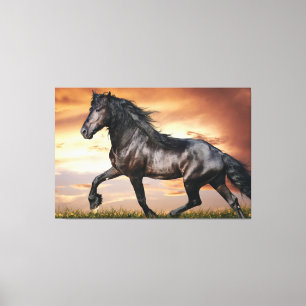 Mooie zwarte paard canvas afdruk