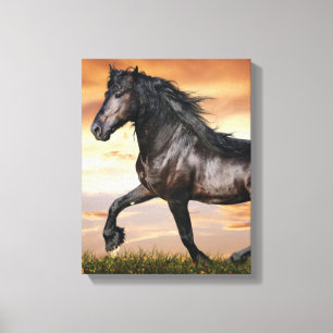 Mooie zwarte paard canvas afdruk