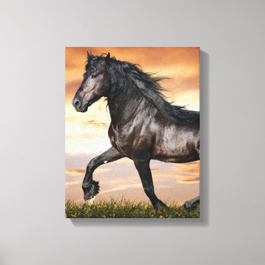 Mooie zwarte paard canvas afdruk (Voorkant)
