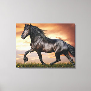 Mooie zwarte paard canvas afdruk