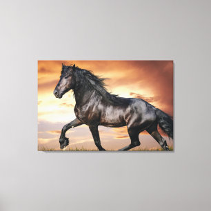 Mooie zwarte paard canvas afdruk