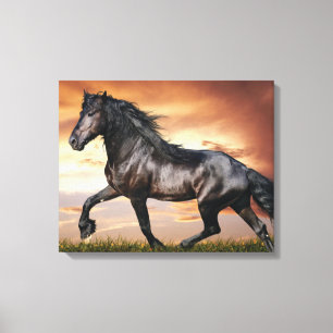 Mooie zwarte paard canvas afdruk