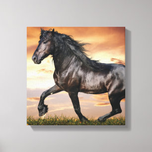 Mooie zwarte paard canvas afdruk