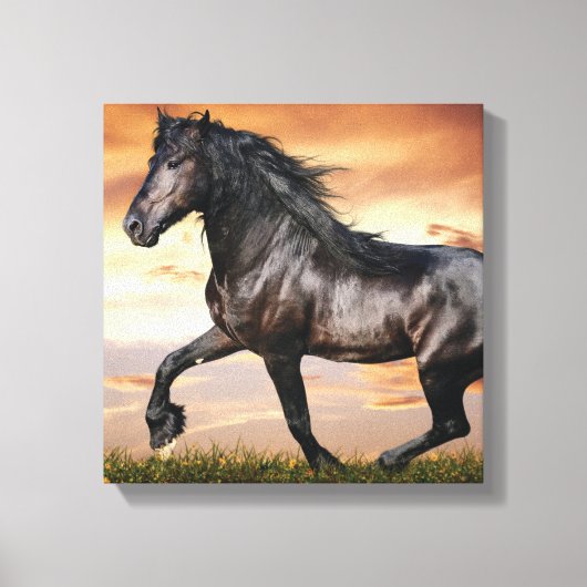Mooie zwarte paard canvas afdruk (Voorkant)