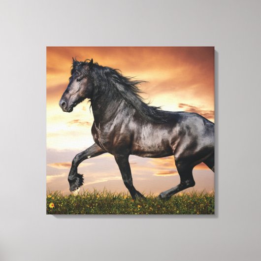 Mooie zwarte paard canvas afdruk (Voorkant)