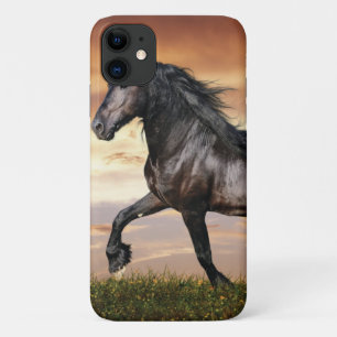 Mooie zwarte paard iPhone 11 hoesje