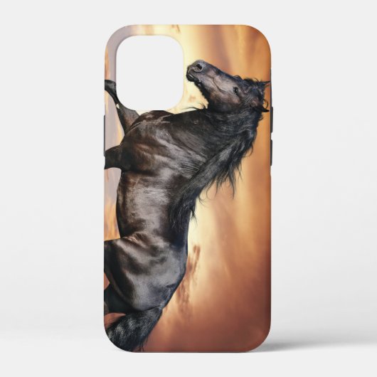 Mooie zwarte paard Case-Mate iPhone case (Achterkant)