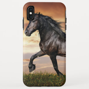 Mooie zwarte paard iPhone XS max hoesje