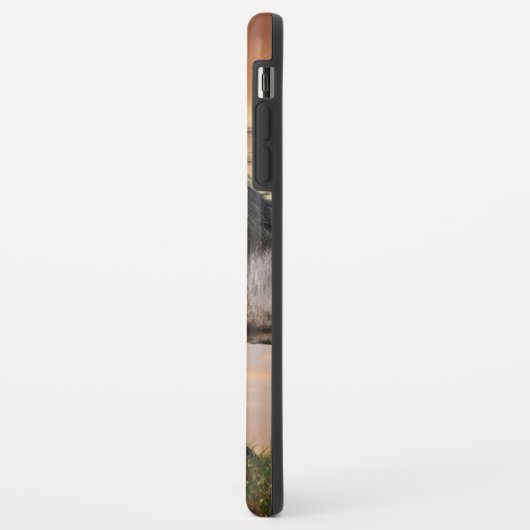 Mooie zwarte paard Case-Mate iPhone case (Achterkant/links)