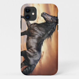 Mooie Zwarte Paard iPhone 11 Hoesje