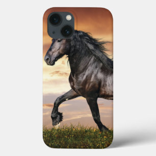 Mooie zwarte paard iPhone 13 hoesje