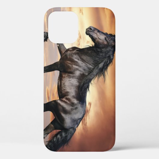 Mooie zwarte paard Case-Mate iPhone case (Achterkant)