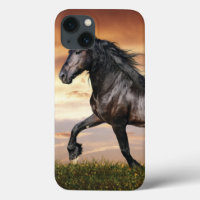 Mooie zwarte paard