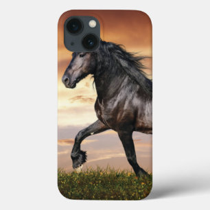 Mooie zwarte paard iPhone 13 hoesje