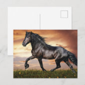 Mooie zwarte paard feestdagenkaart (Voorkant / Achterkant)