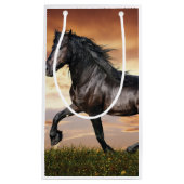 Mooie zwarte paard klein cadeauzakje (Voorkant)