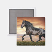 Mooie zwarte paard magneet (Voorkant / Achterkant)