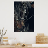 Mooie zwarte paard poster (Keuken)