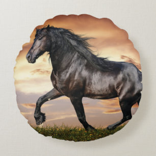 Mooie zwarte paard rond kussen