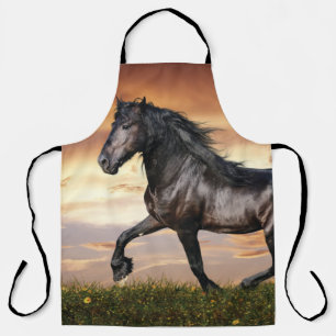 Mooie zwarte paard schort