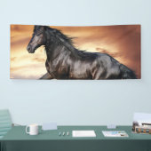 Mooie zwarte paard spandoek (Beurs)