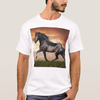 Mooie zwarte paard