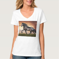 Mooie zwarte paard