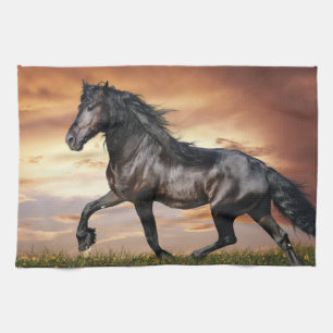 Mooie zwarte paard theedoek