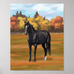 Mooie zwarte Quarter Horse hengst Poster