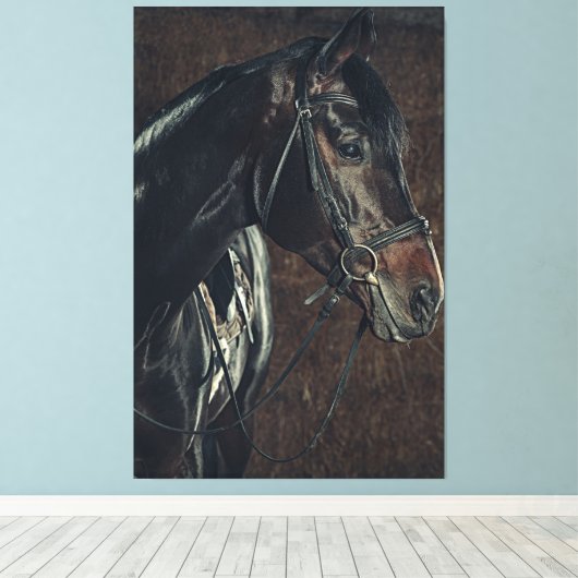 Mooie zwarte Stallion Horse Canvas Afdruk (Insitu (Houten vloer))