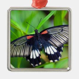 Mooie zwarte, witte en rode vlinder metalen ornament