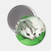 Mooie zweefvliegtuigen magneet (Voorkant / Achterkant)