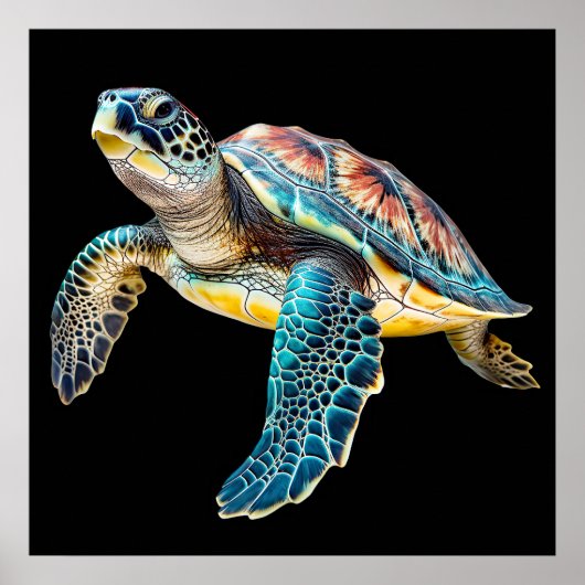 Mooie zwemmen schildpad illustratie poster (Voorkant)
