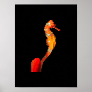 Mooie zwemmende zeepaardfiguur aan de voorkant poster