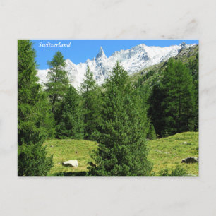 Mooie Zwitserse Alpen Ansichtkaart Briefkaart