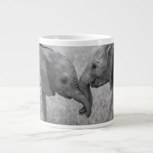 Mooiste Baby Dieren Baby Olifanten Groeten Extra Grote Beker