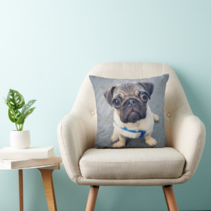 Mooiste Baby Dieren Baby Pug Kussen
