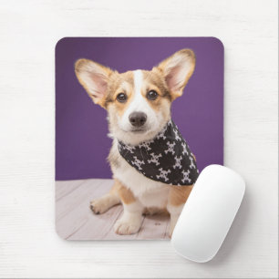 Mooiste Baby Dieren Corgi Puppy Skull Bandana Muismat