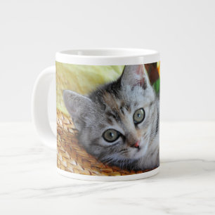 Mooiste baby dieren Languit liggende kitten Extra Grote Beker