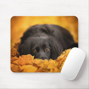 Mooiste Baby Dieren   Zwarte Spaniel Puppy Muismat