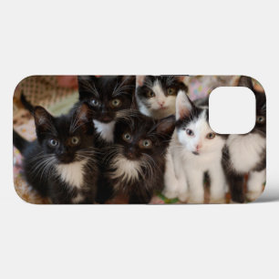Mooiste baby dieren Zwarte & witte katjes iPhone 13 Hoesje