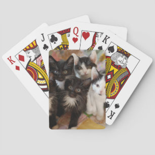 Mooiste baby dieren Zwarte & witte katjes Pokerkaarten