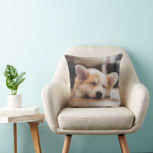 Mooiste Babydieren   Slaperige Corgi Kussen